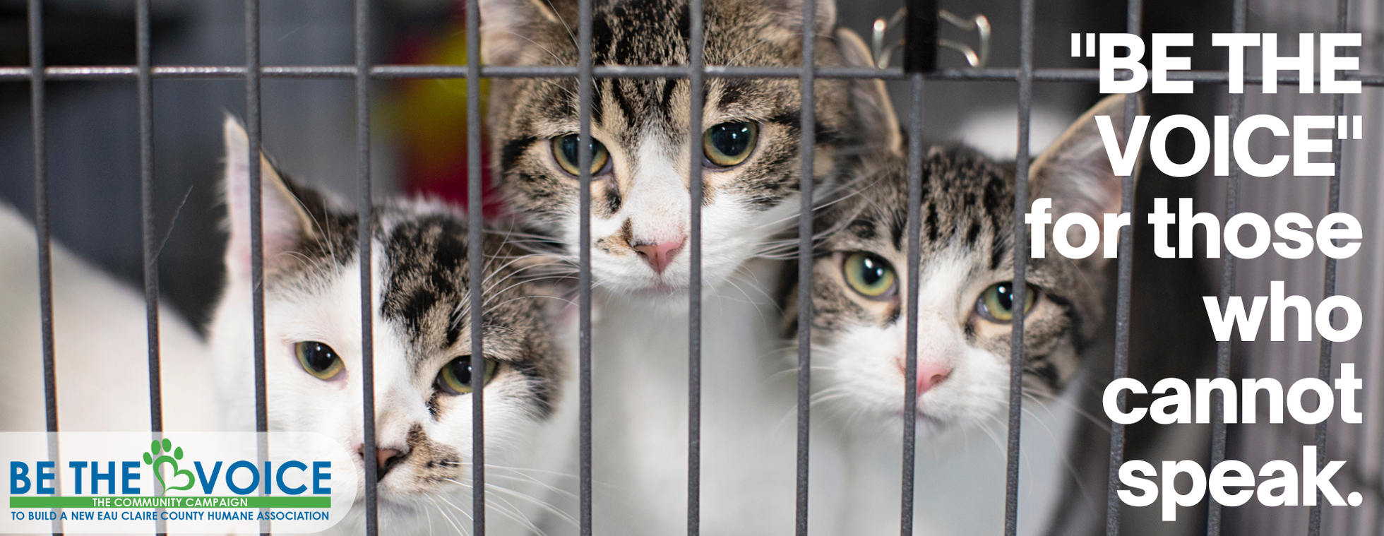 "Be the Voice" New Building Campaign for ECCHA